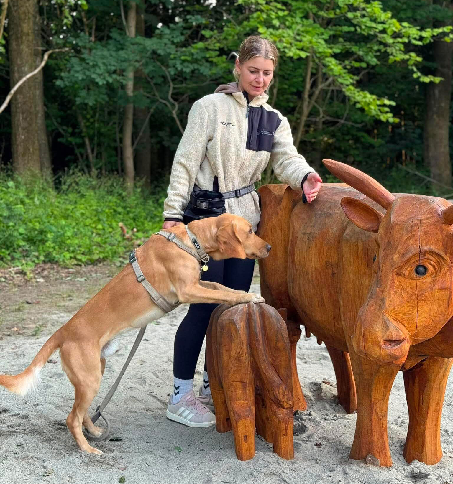 hundetræning-pakour-balder